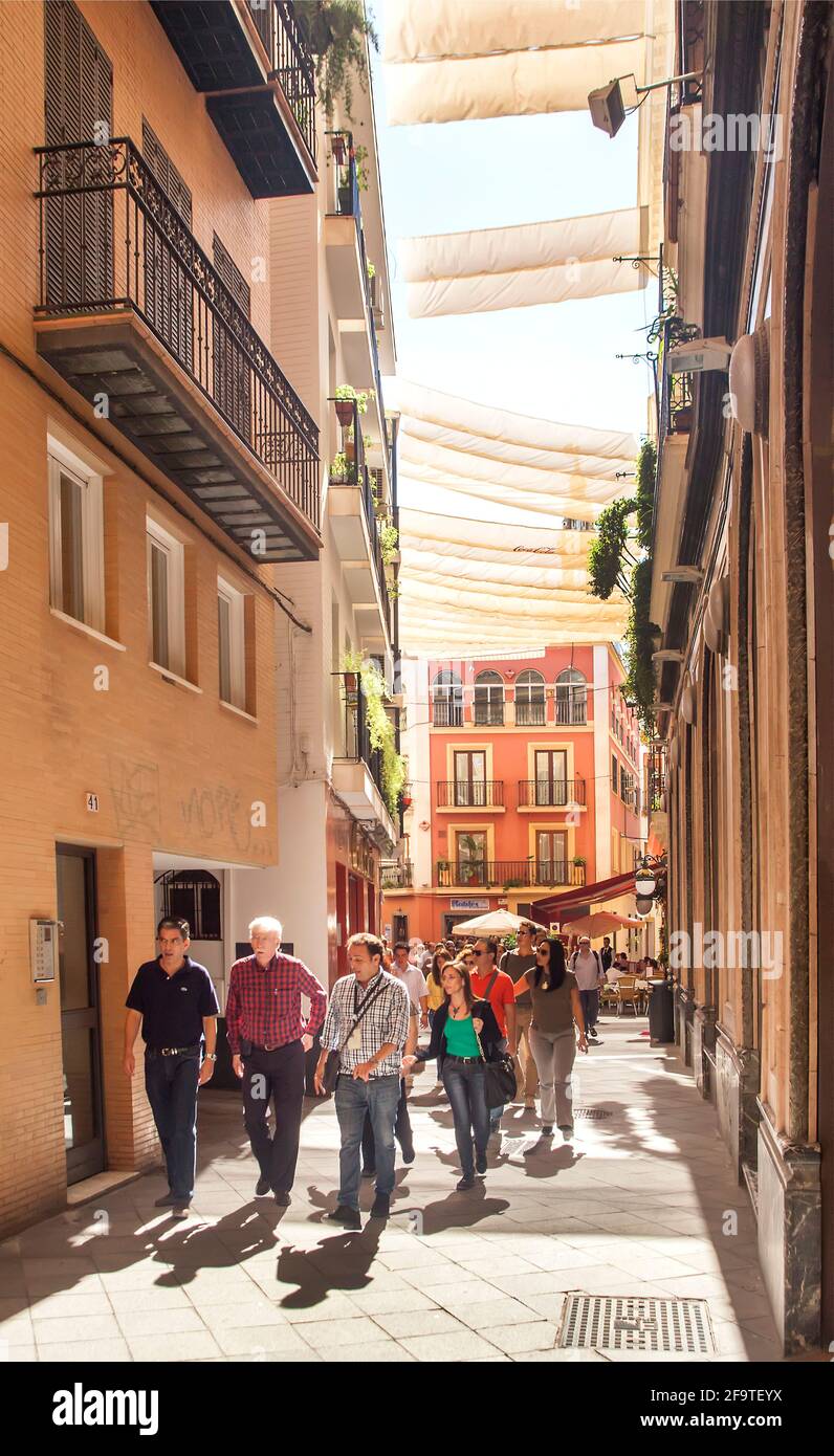 Ombrelloni in strada a Siviglia, Spagna Foto Stock
