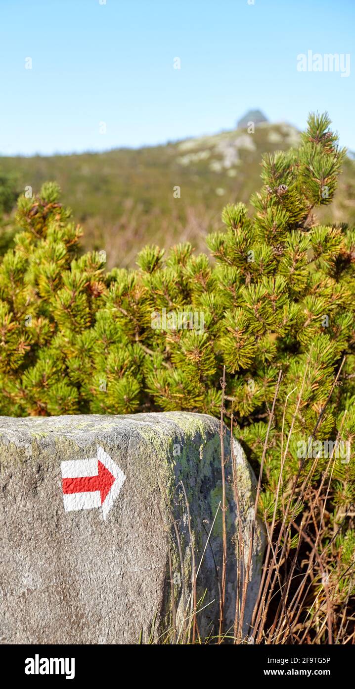Segnavia rosso dipinto su una roccia, fuoco selettivo, Karkonosze National Park, Polonia. Foto Stock
