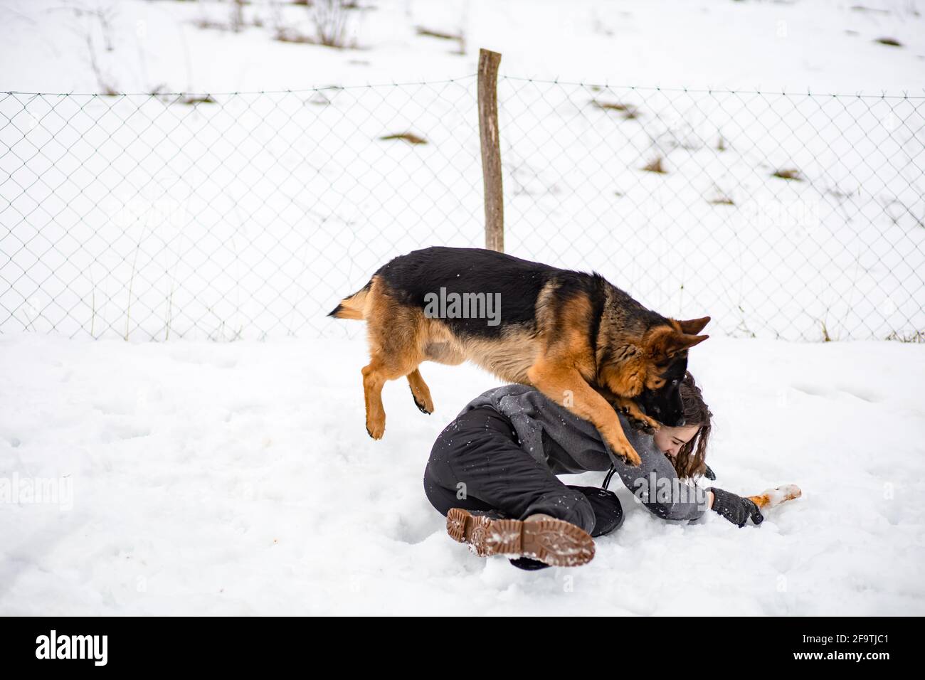 Giovane bruna ragazza che gioca con il suo cane Pastore tedesco. Periodo invernale Foto Stock