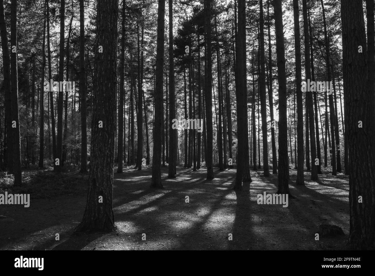 Parco Black Country Park Foto Stock