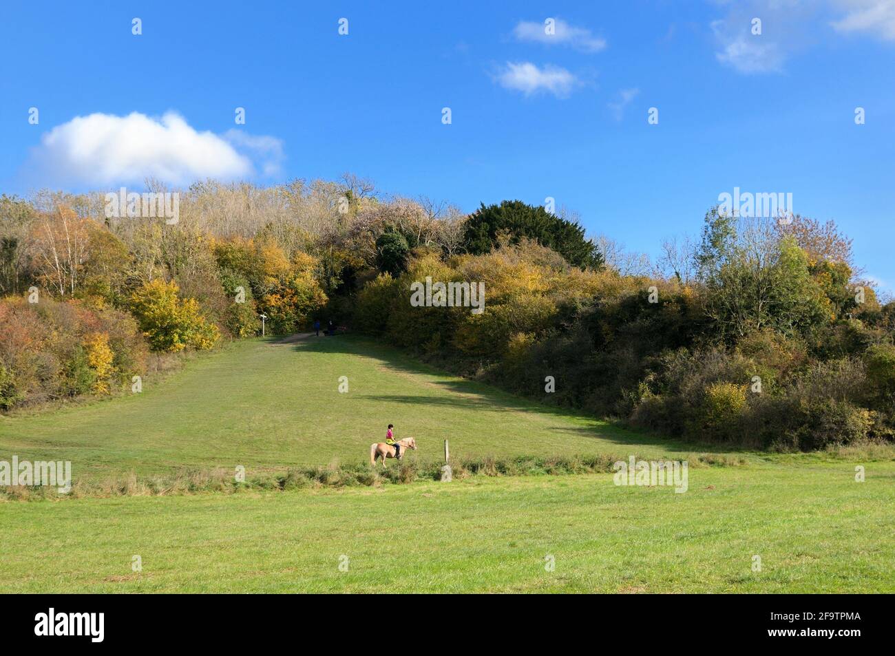 Cavaliere nell'Happy Valley Park, parte della South London Downs National Nature Reserve, in una giornata di sole in autunno. Old Coulsdon, Inghilterra, Regno Unito Foto Stock
