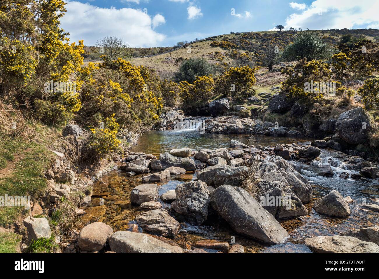 Ricchi colori della natura nella contea di Devon Dartmoor Foto Stock