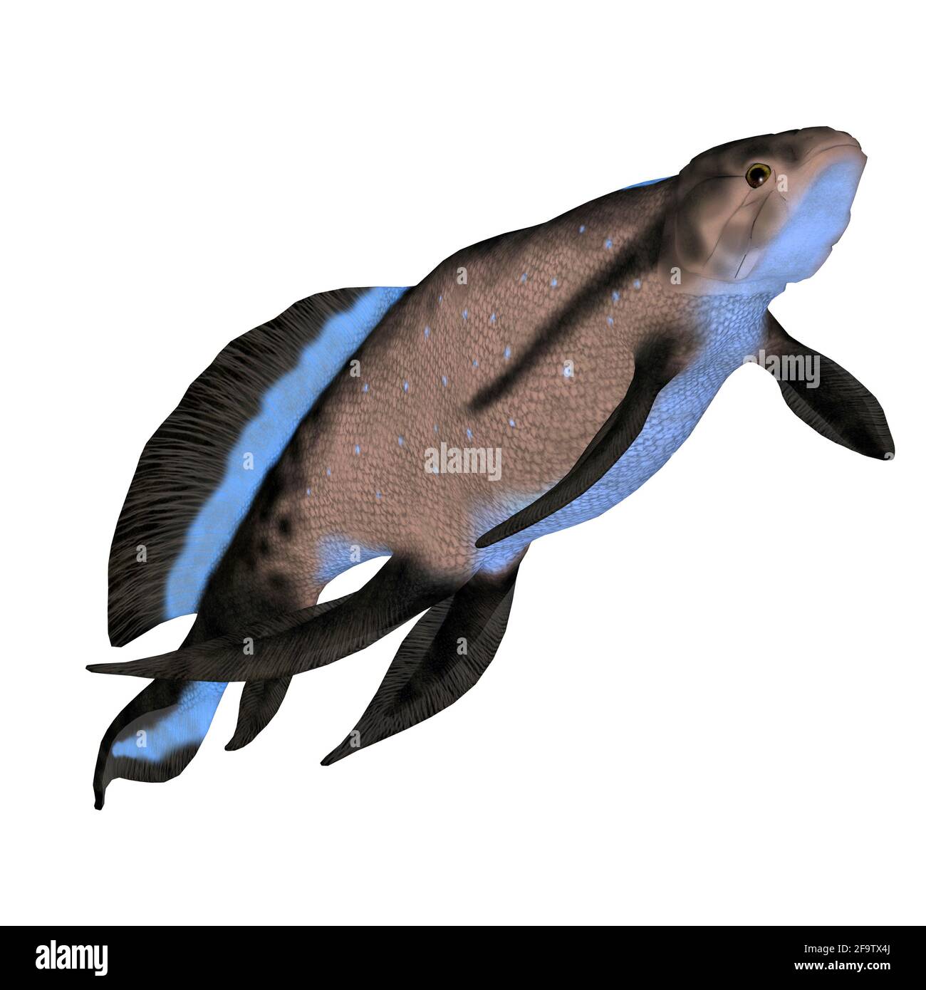 Scaumenacia è un pesce predatore estinto che visse in ambienti marini durante il periodo del Devonian. Foto Stock