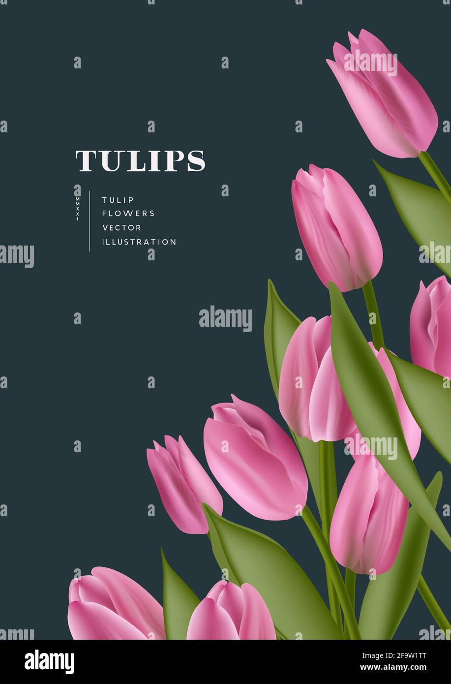 Rosa realistico tulipani fiori sfondo layout. Illustrazione vettoriale del layout contemporaneo. Illustrazione Vettoriale
