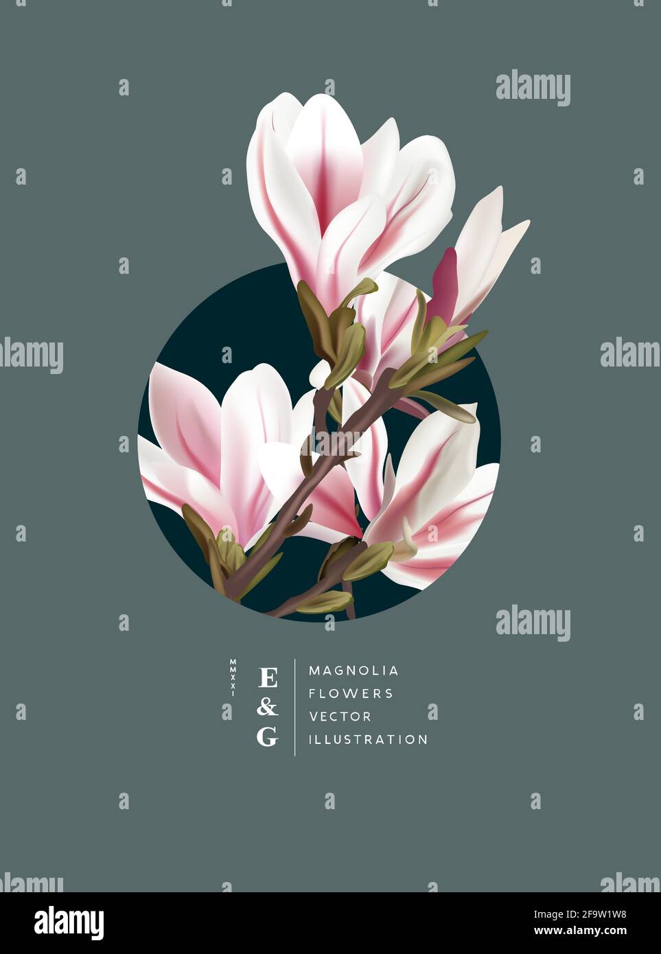 Rosa e bianco naturale magnolia fiori realistici layout contemporaneo. Evento marketing floreale e pianta sfondo illustrazione vettoriale. Illustrazione Vettoriale