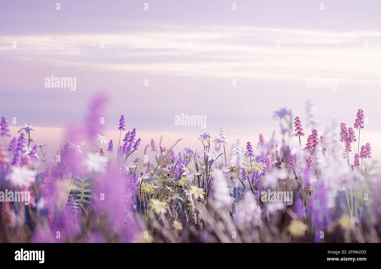 Un prato pieno di rosa pastello, lilla, fiori selvatici bianchi e gialli e una serata estiva morbida. Illustrazione 3D Foto Stock