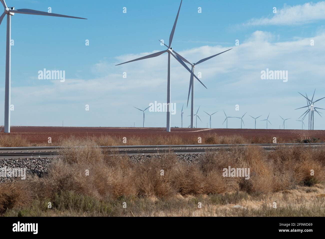 Le fattorie di Wind Mill in Texas Panhandle hanno 14,720 turbine eoliche che operano nello stato. Foto Stock