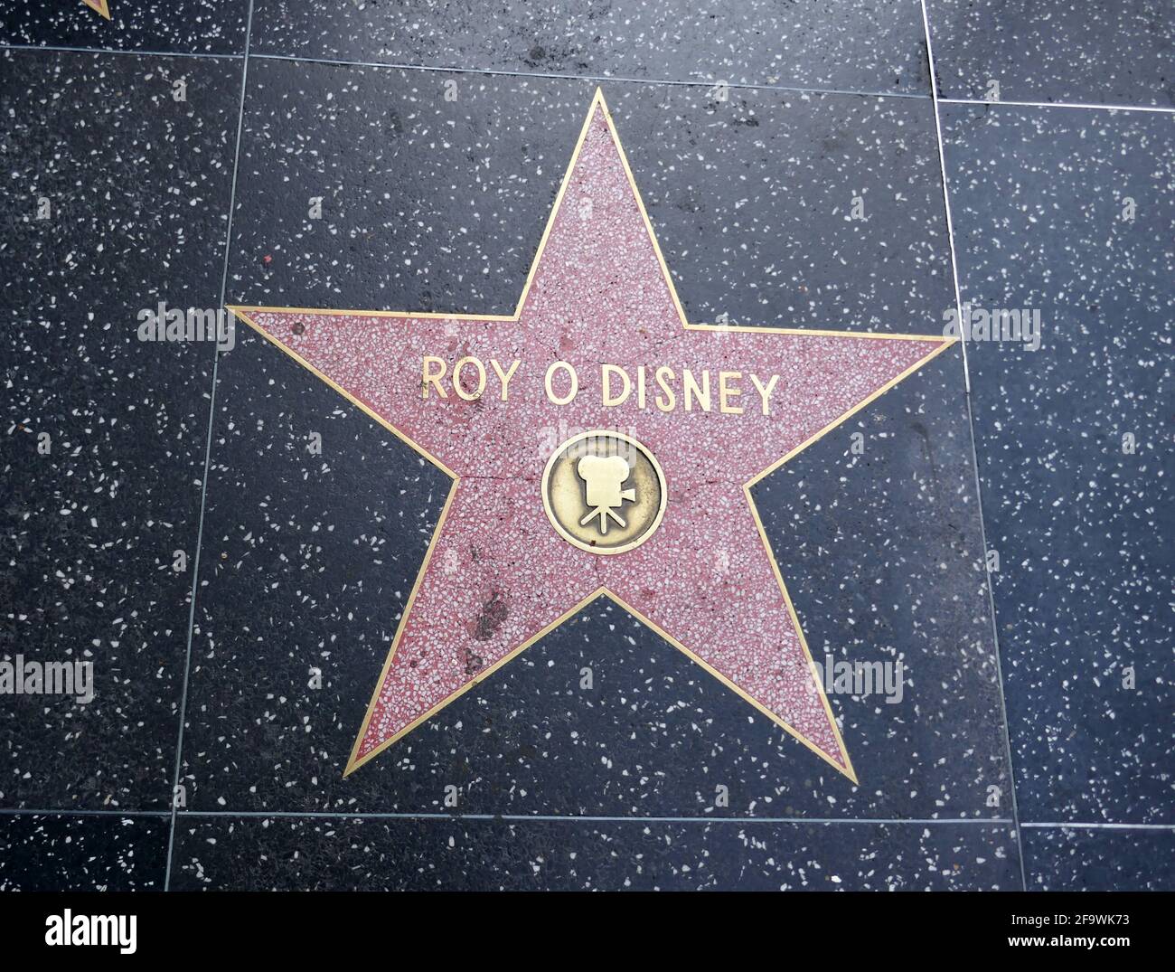Hollywood, California, USA 17 aprile 2021 UNA visione generale dell'atmosfera della stella di Roy o Disney sulla Hollywood Walk of Fame il 17 aprile 2021 a Hollywood, California, USA. Foto di Barry King/Alamy Stock foto Foto Stock