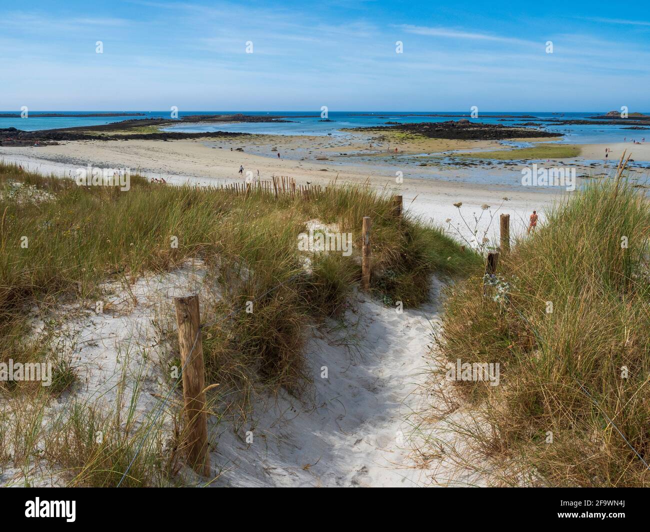 Percorso che conduce alle spiagge di sabbia bianca, penisola di Sainte Marguerite, Landéda, Finistère settentrionale, Bretagna, Francia. Foto Stock