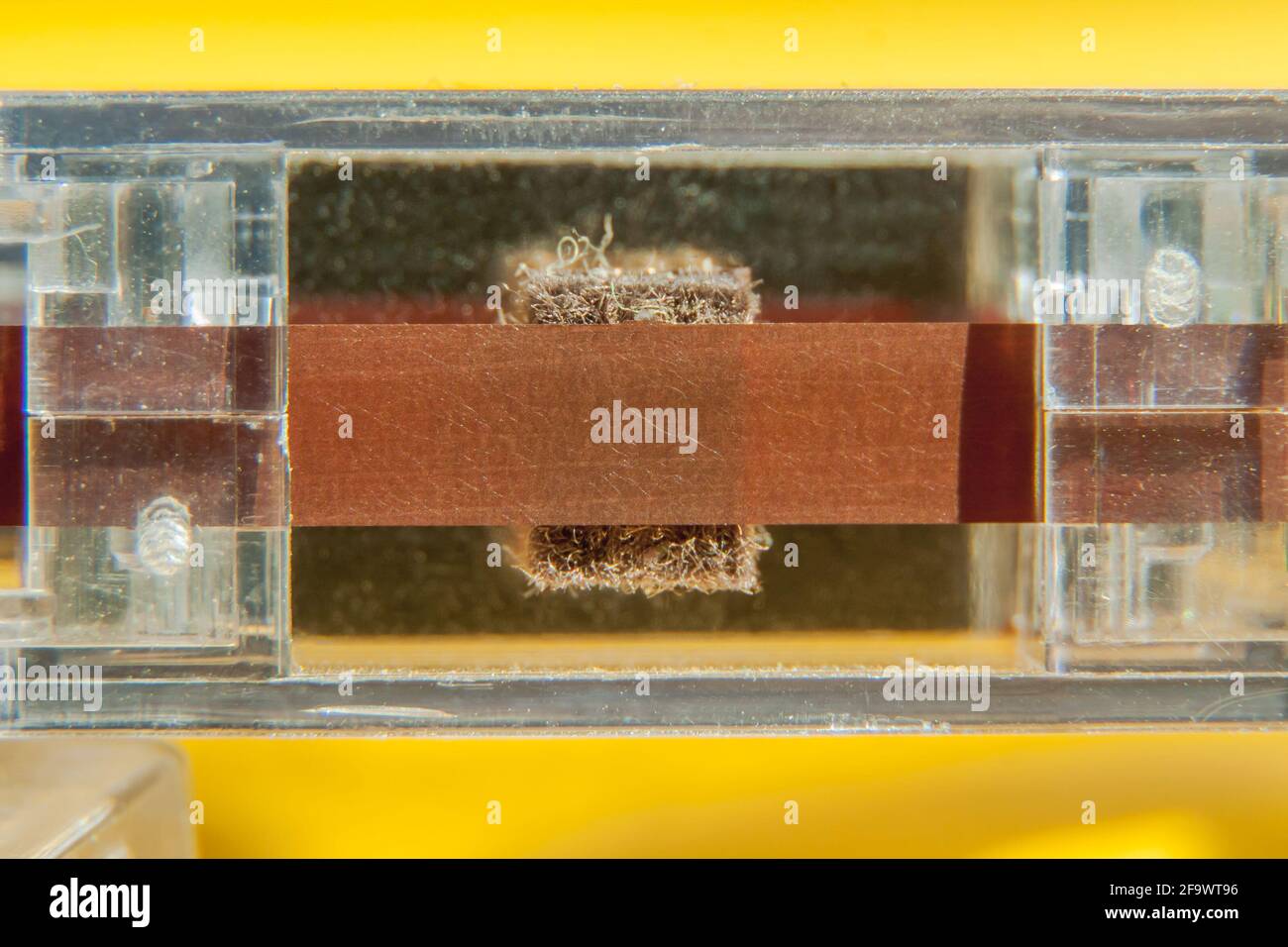 Un nastro magnetico usurato e un meccanismo a pressione con un feltro di una cassetta audio su sfondo giallo. Macro Foto Stock