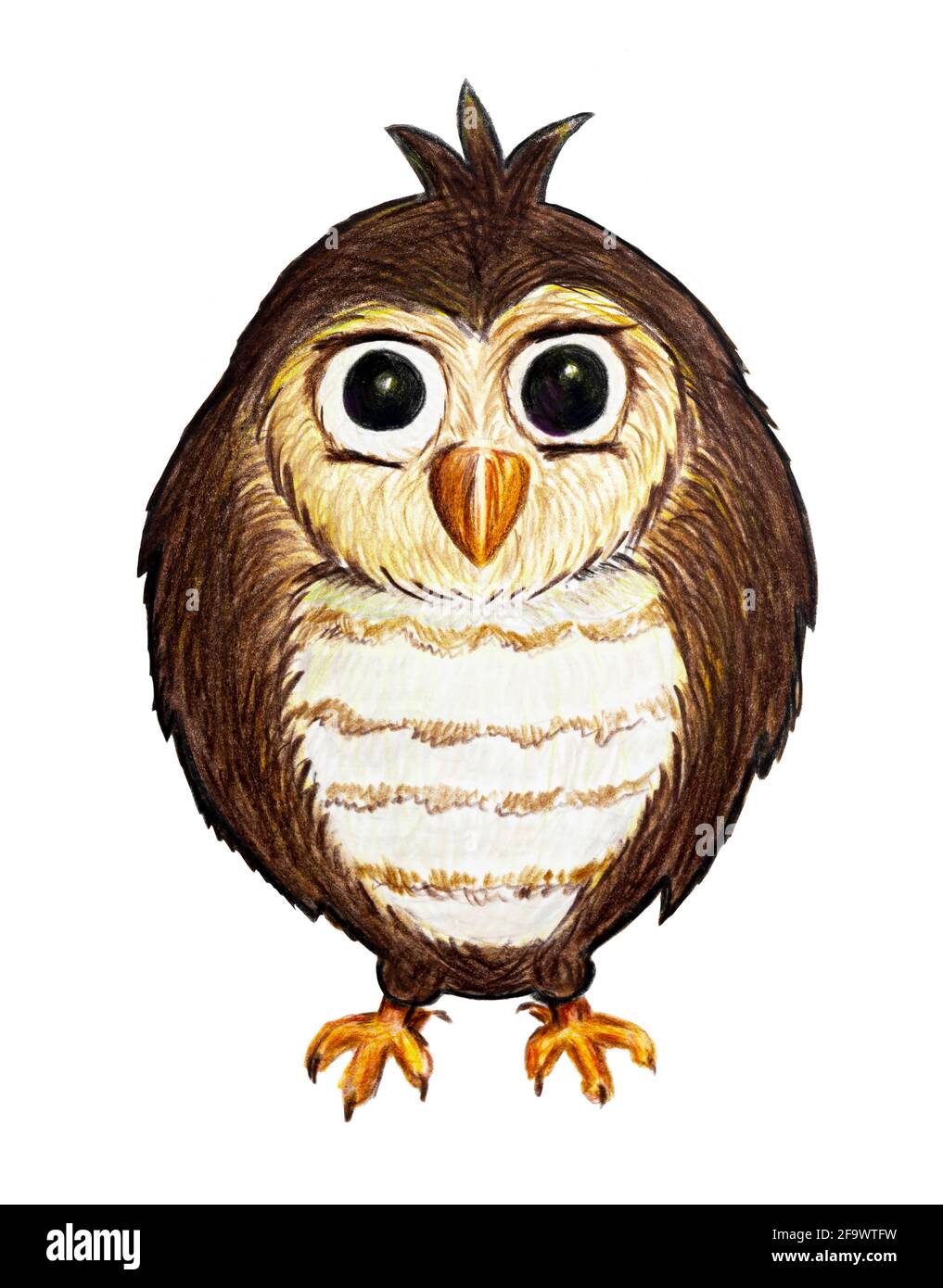 Little owl drawing immagini e fotografie stock ad alta risoluzione - Alamy