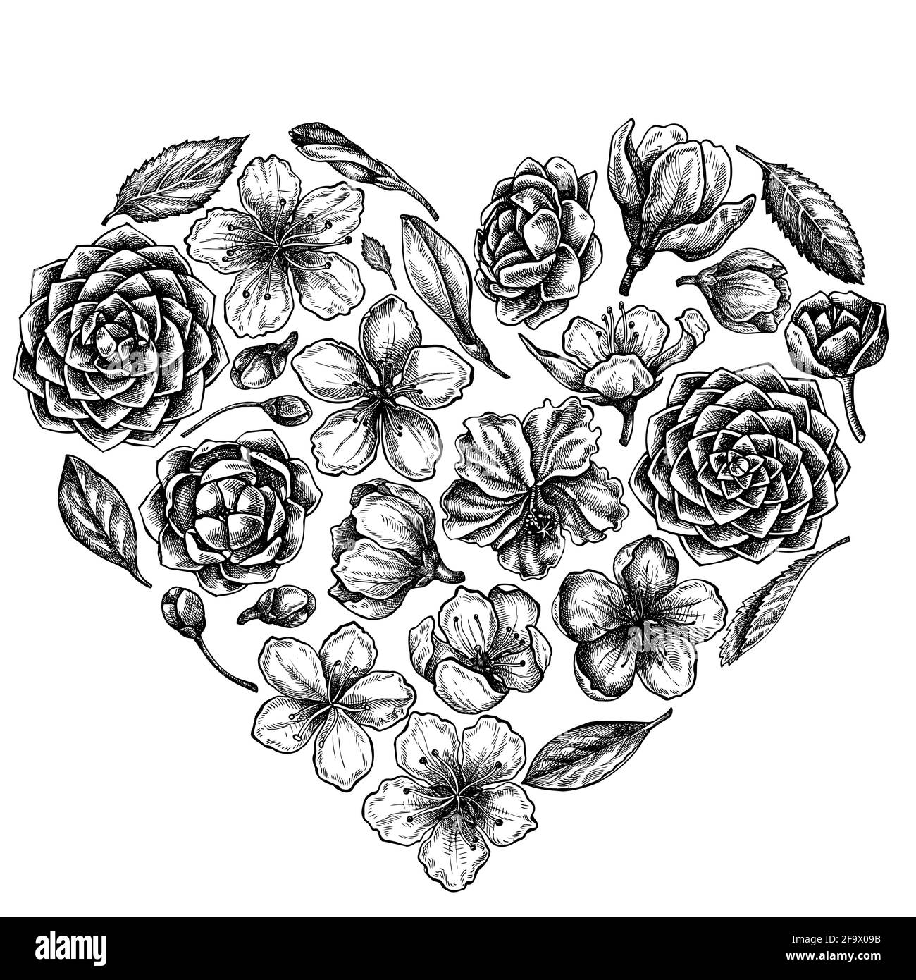 Cuore floreale con hibiscus bianco e nero, fiori di prugne, fiori di pesca, fiori di sakura, fiori di magnolia, camellia japonica Illustrazione Vettoriale