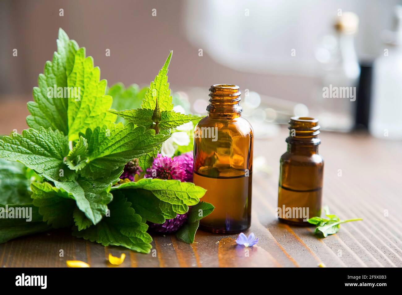 Medicina alternativa, oli di erbe curative, oli di aromaterapia erboristici con piante medicinali ed erbe, bottiglie di oli essenziali Foto Stock