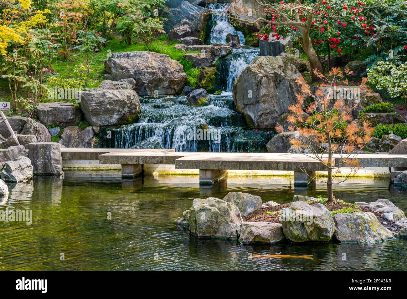 LONDRA, Regno Unito - 11 APRILE 2021: Inaugurato nel 1991, il Kyoto Garden in Holland Park, con piante colorate, arbusti e elementi acquatici, è stato un regalo della Camera Foto Stock