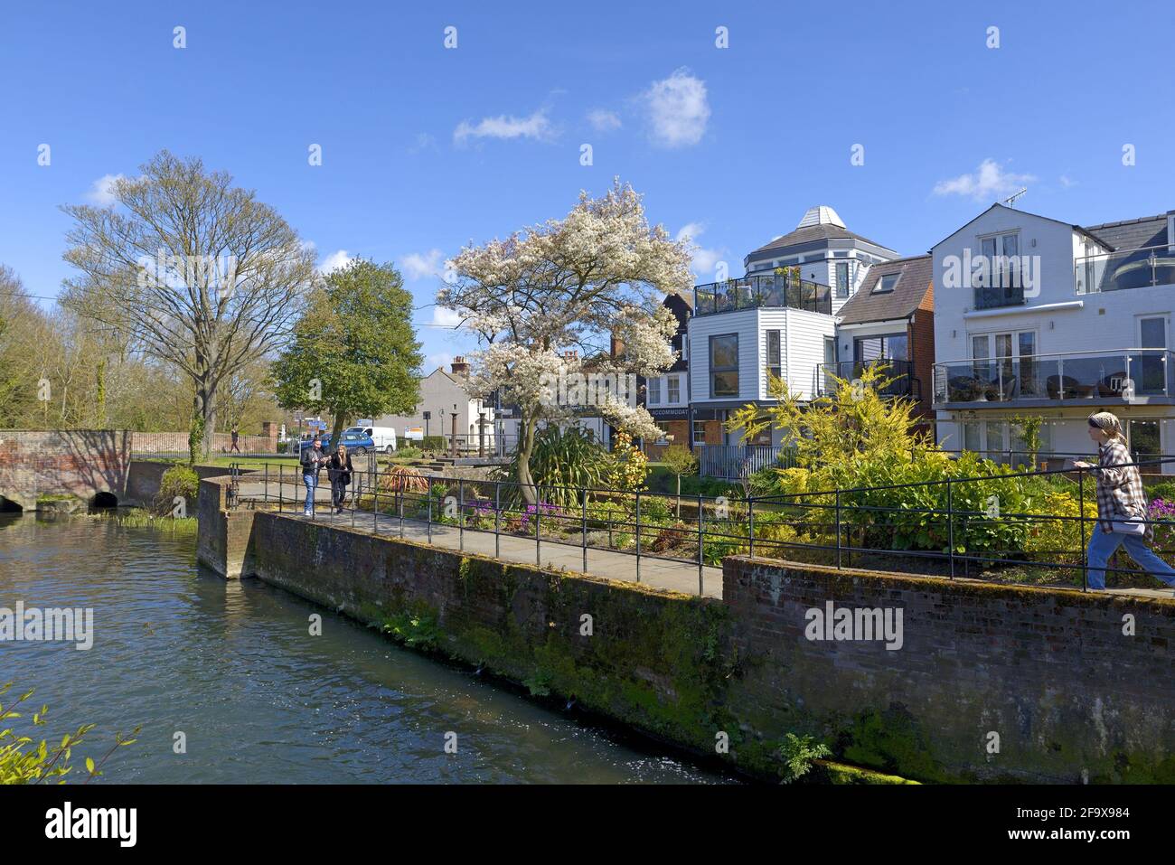 Canterbury, Kent, Regno Unito. Fiume Great Stour da Abbots Mill Garden Foto Stock
