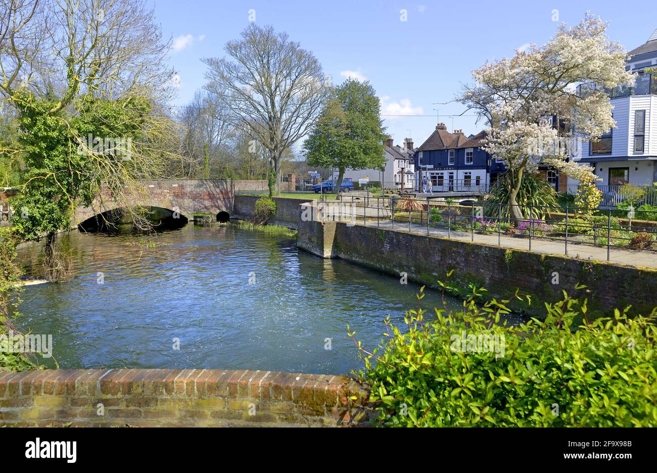 Canterbury, Kent, Regno Unito. Fiume Great Stour da Abbots Mill Garden Foto Stock