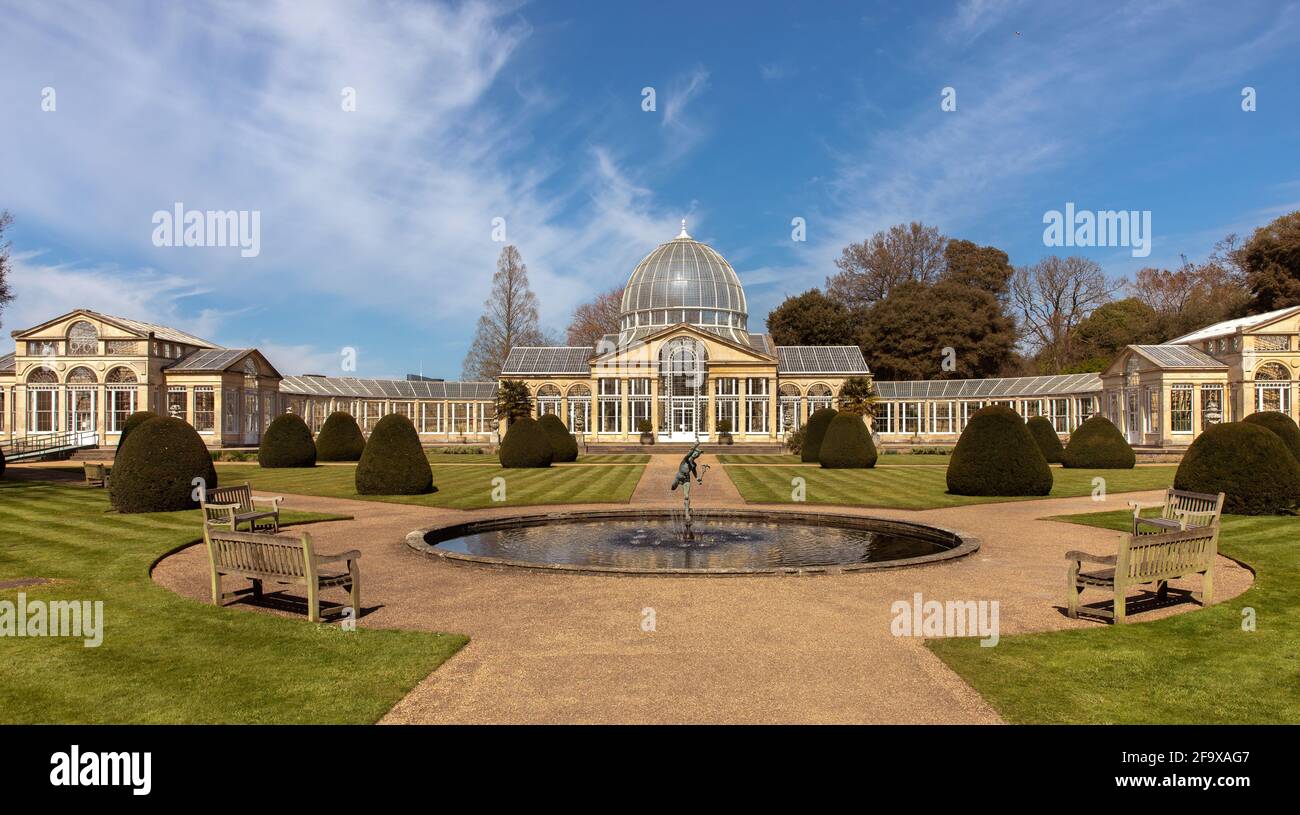 Syon Park, il Grande Conservatorio. Foto Stock