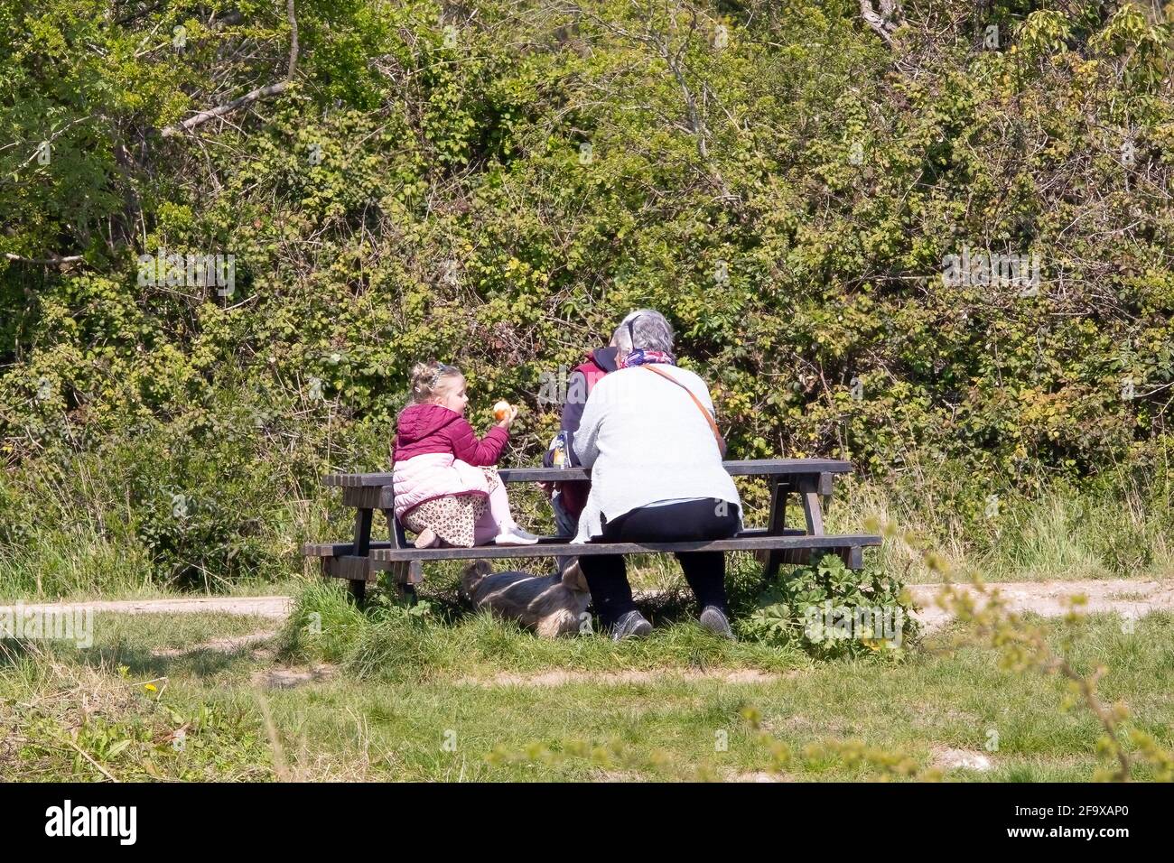 04-19-2021 Portsmouth, Hampshire, Gran Bretagna nonni seduti con il loro nipote su una panchina da picnic al sole mangiare Foto Stock