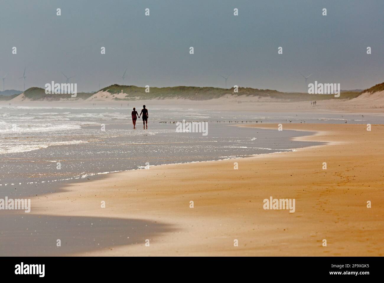 Le persone camminano a mano sulla spiaggia di Drumidge Bay, nel Northumberland, Inghilterra. Gli uccelli marini camminano sulla sabbia in pietra. Foto Stock
