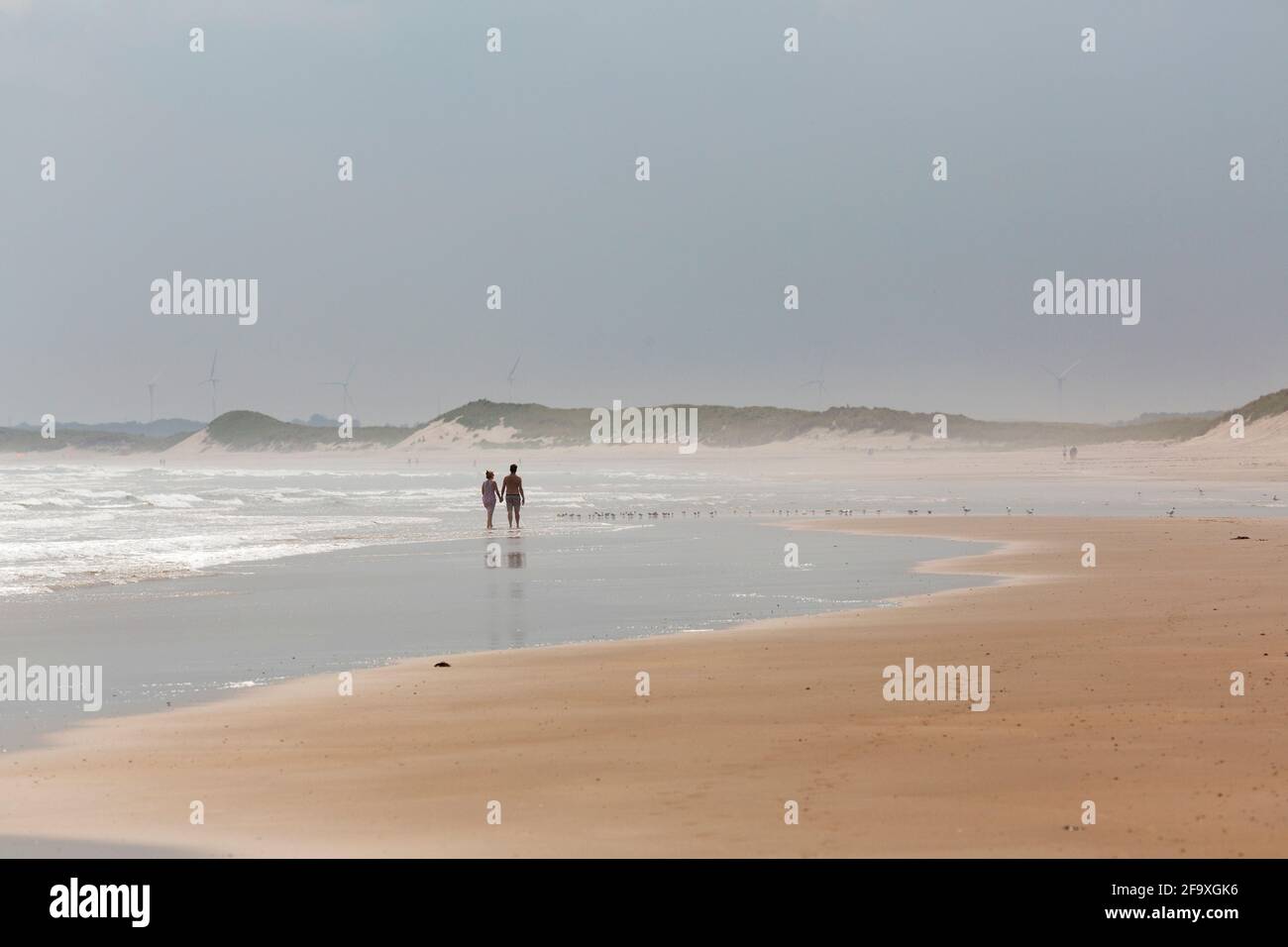 Le persone camminano a mano sulla spiaggia di Drumidge Bay, nel Northumberland, Inghilterra. Gli uccelli marini camminano sulla sabbia in pietra. Foto Stock