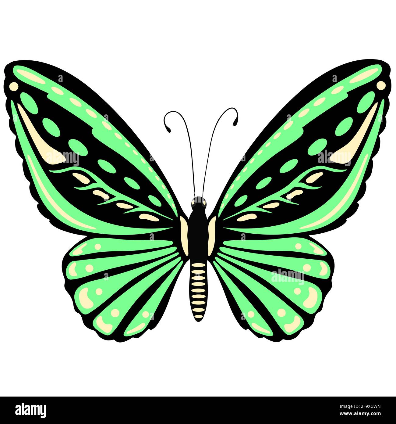 Primo piano con farfalla verde brillante. Un bellissimo insetto con ali multicolore. Oggetto Vector.Isolated. Disegno a mano libera. Illustrazione Vettoriale Primo piano con farfalla verde brillante. Un bellissimo insetto con ali multicolore. Oggetto Vector.Isolated. Disegno a mano libera. Illustrazione Vettoriale