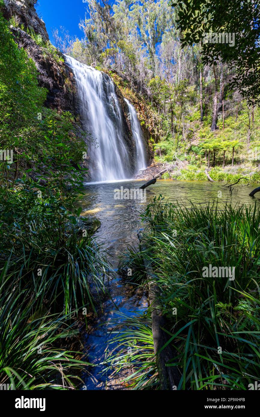 Boundary Falls, Gibilterra Range National Park, New England Tablelands, NSW Australia Foto Stock