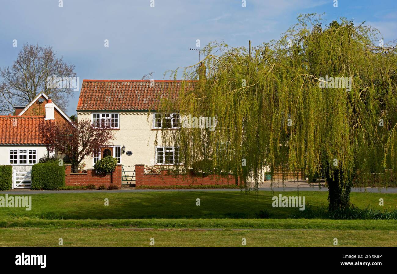 Case e salice piangente nel villaggio di Barmby Moor, East Yorkshire, Inghilterra Regno Unito Foto Stock