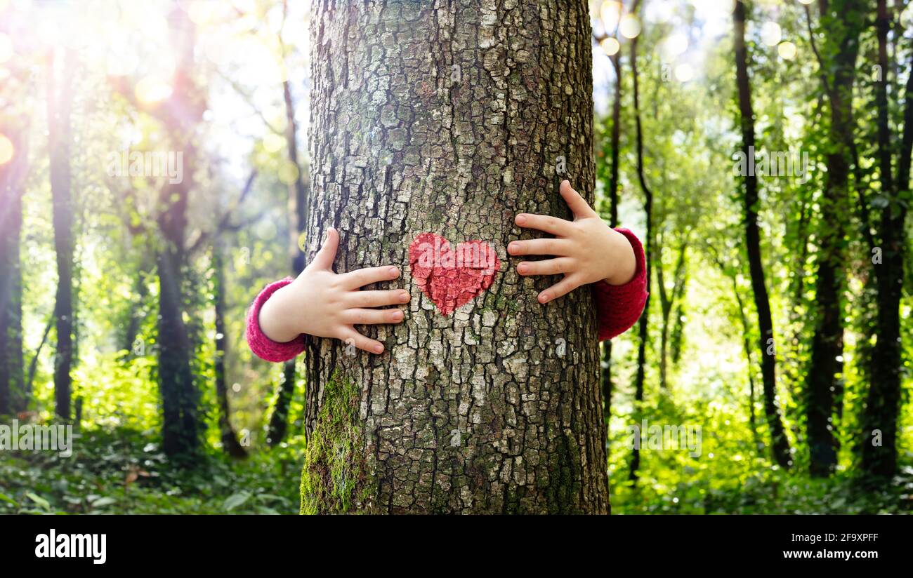 Abbraccio di alberi - Amore natura - Bambino abbraccio il tronco Con forma a cuore rosso Foto Stock