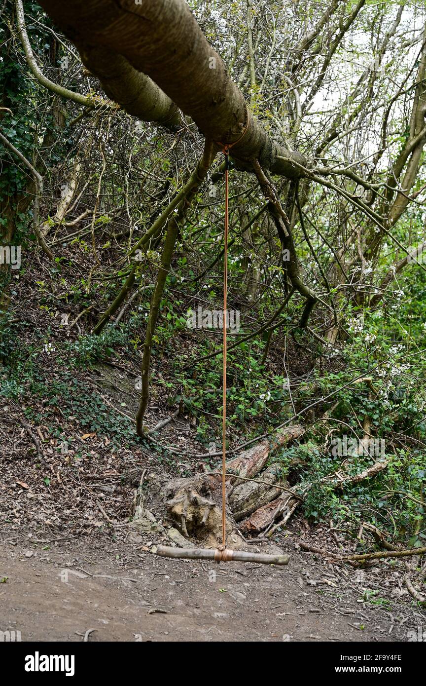 Casa fatto swing su un albero caduto in bosco. Foto Stock