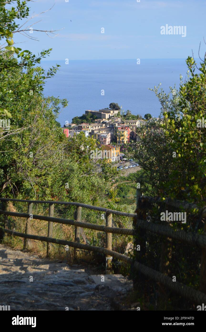 Parte del sentiero di 120 km che attraversa le cinque Terre, è una parte del famoso sentiero che va dalla Corniglia alla Vernazza Foto Stock