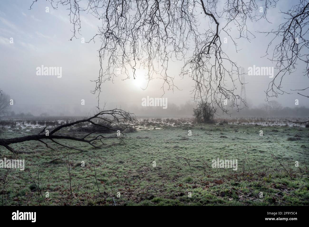 Paesaggio inondato di prati d'acqua Foto Stock
