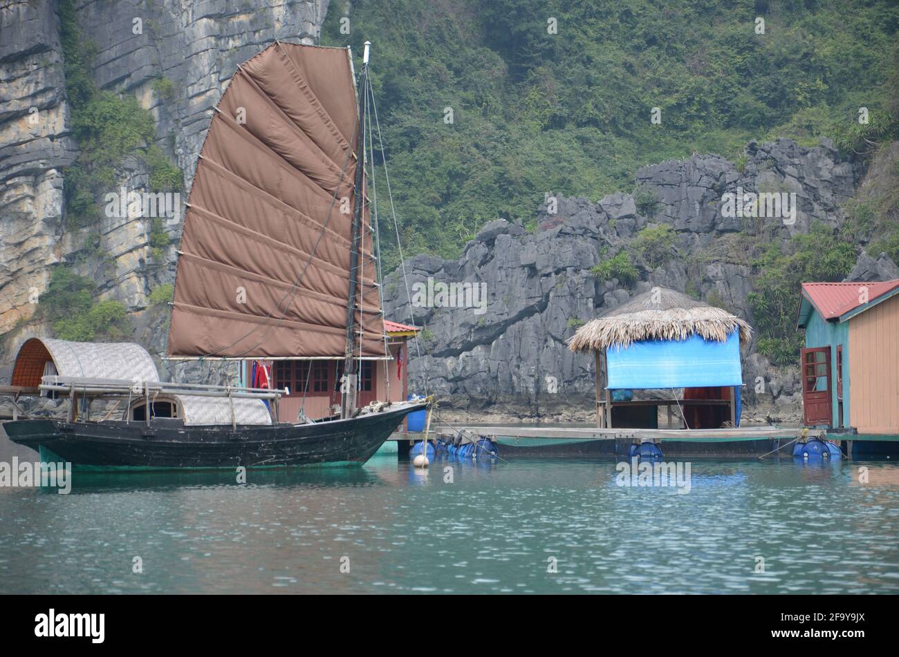 Vista panoramica delle acque verdi, delle formazioni rocciose e delle case galleggianti e delle barche sulla Baia di ha Long in Vietnam Foto Stock