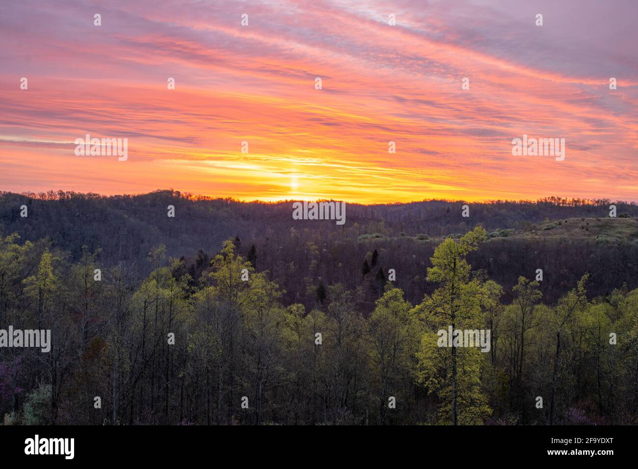 Alba in Appalachia centrale. Foto Stock