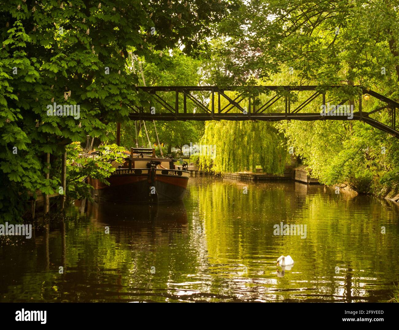 Un ponte pedonale attraverso un lembo frondoso del Tamigi, che porta da Church Street a Staines, a Church Island. Staines-upon-Thames, Regno Unito. Foto Stock