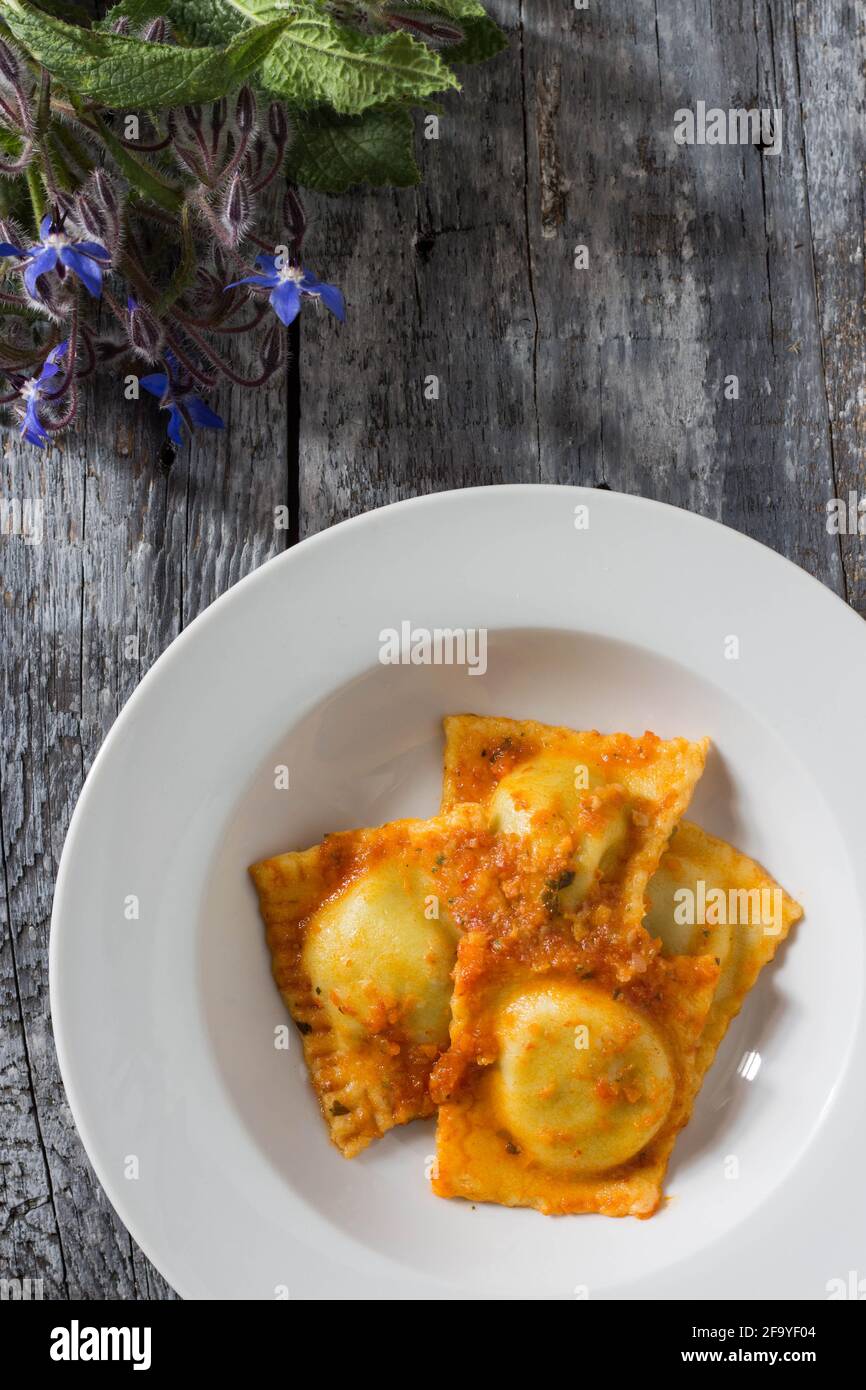 Ravioli fatti in casa farciti con borragine e patate condite con piatti vegetariani ragù Foto Stock