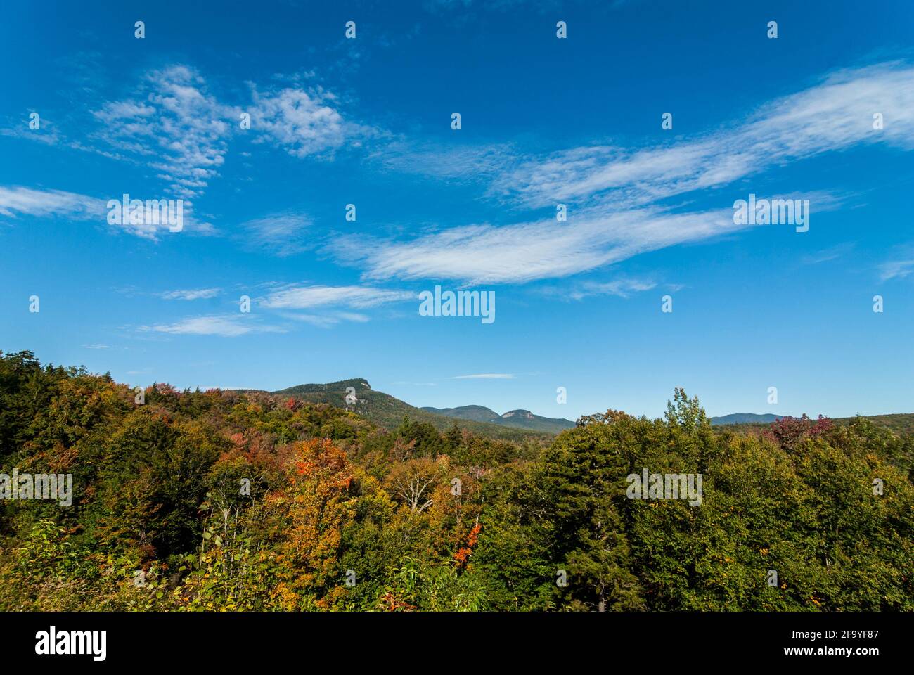 Cielo blu sugli alberi e sulle Lincoln Mountains, appena fuori dalla Kancamagus Highway, New Hampshire, Stati Uniti in autunno / autunno. Foto Stock