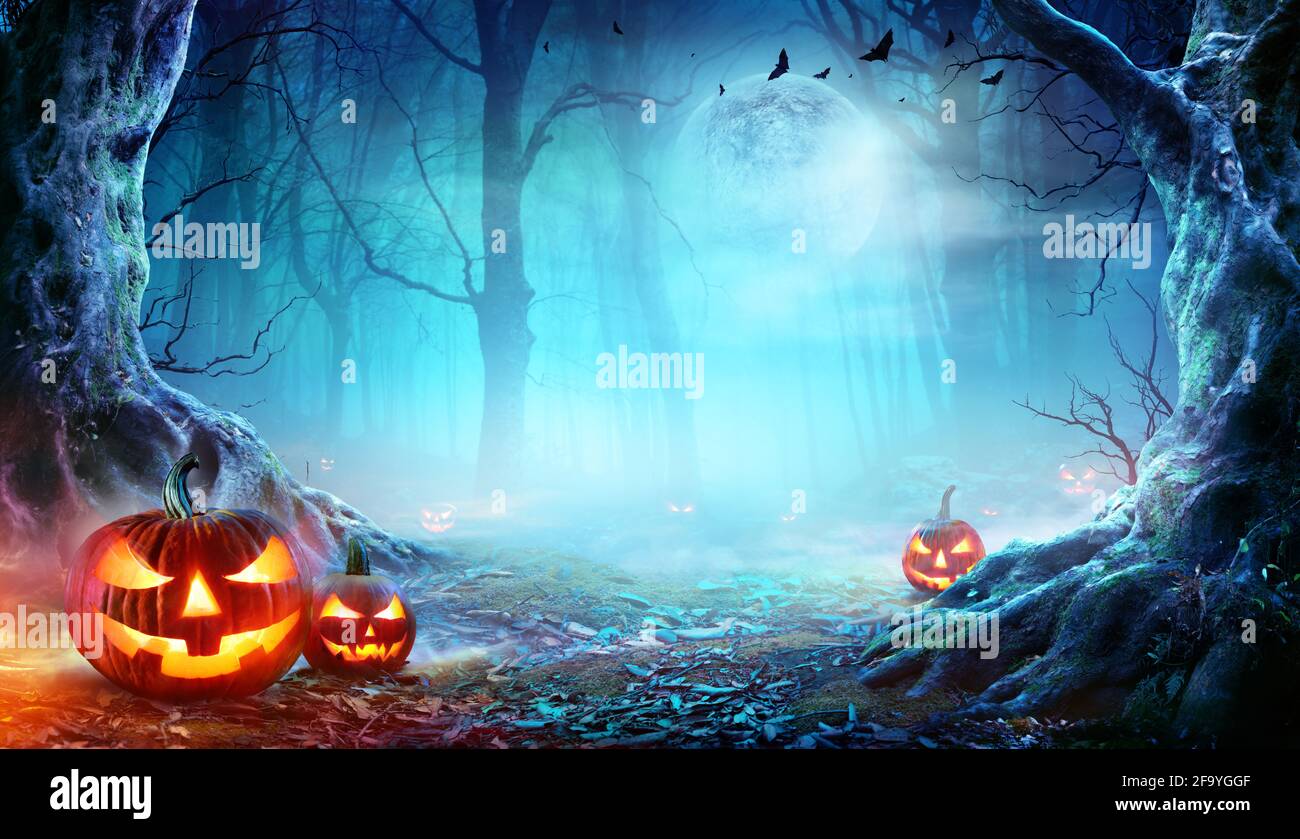Jack o’ Lanterne nella foresta di Spooky a Moonlight - Halloween Foto Stock