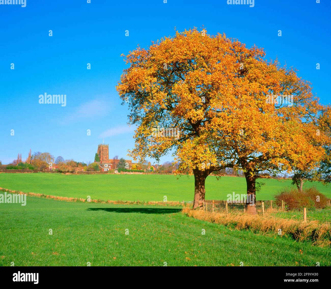Regno Unito, Inghilterra, Cheshire, Great Budworth, chiesa del villaggio, autunno Foto Stock