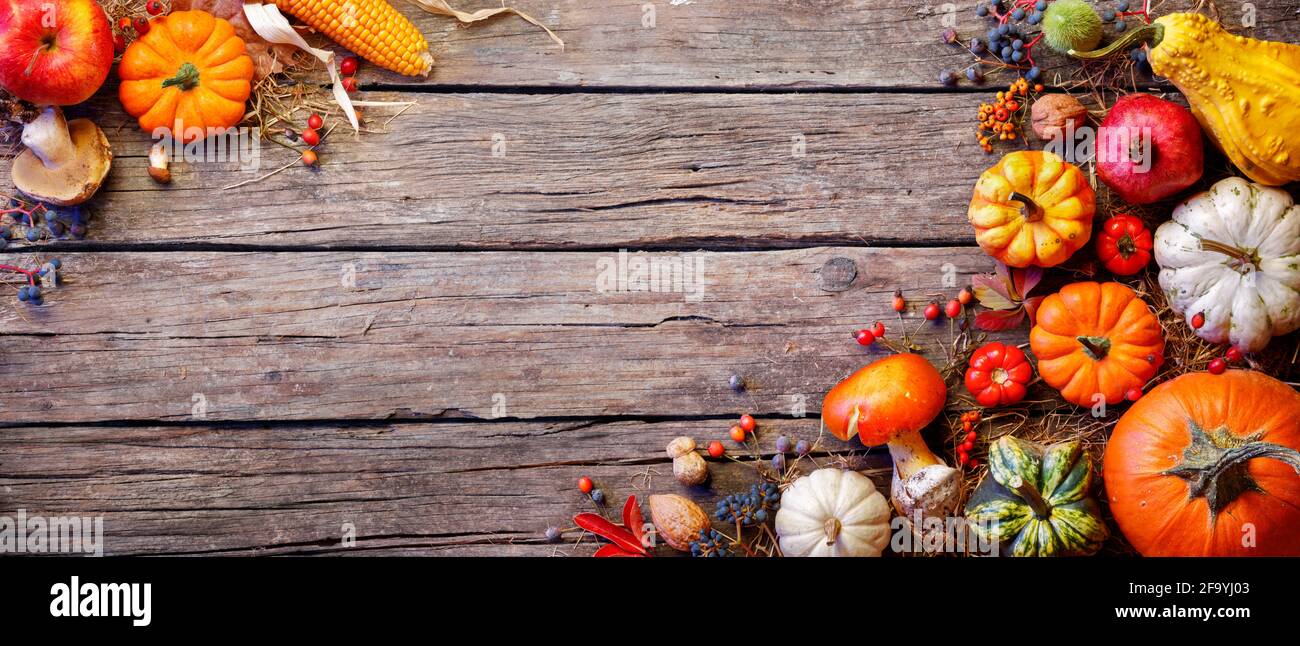 Banner Ringraziamento - Pumpkins e su Rustic Plank Foto Stock
