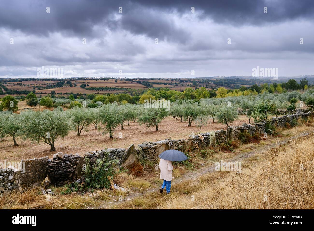 Giornata piovosa vicino a Algoso. Tras os Montes, Portogallo Foto Stock