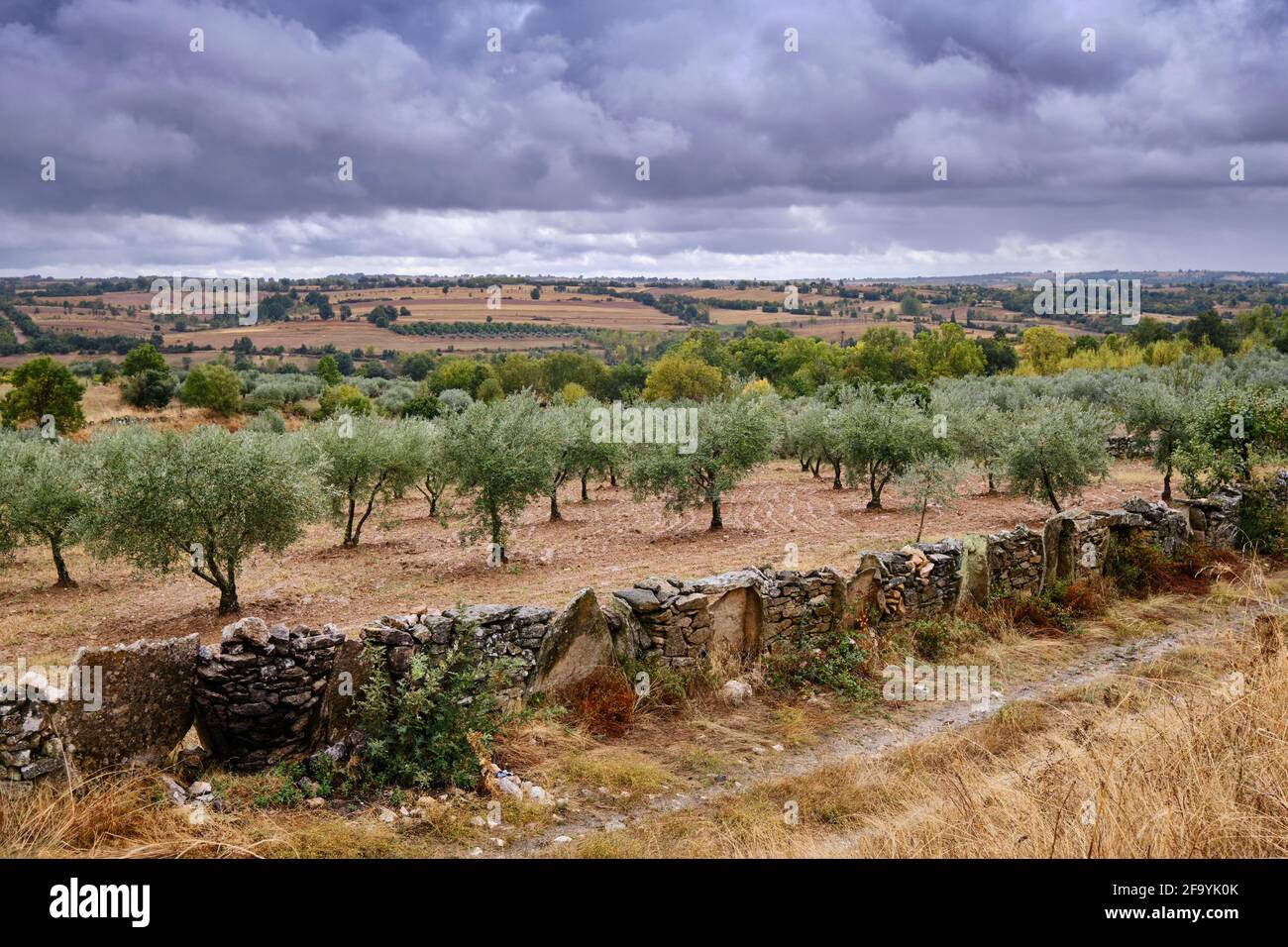 Giornata piovosa vicino a Algoso. Tras os Montes, Portogallo Foto Stock