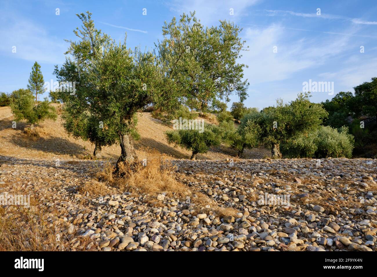 Colline e campi di pietra. Questa pietra fu portata dai romani per esplorare l'oro sulle rive del fiume Tago. Vila Velha de Rodao, Portogallo Foto Stock