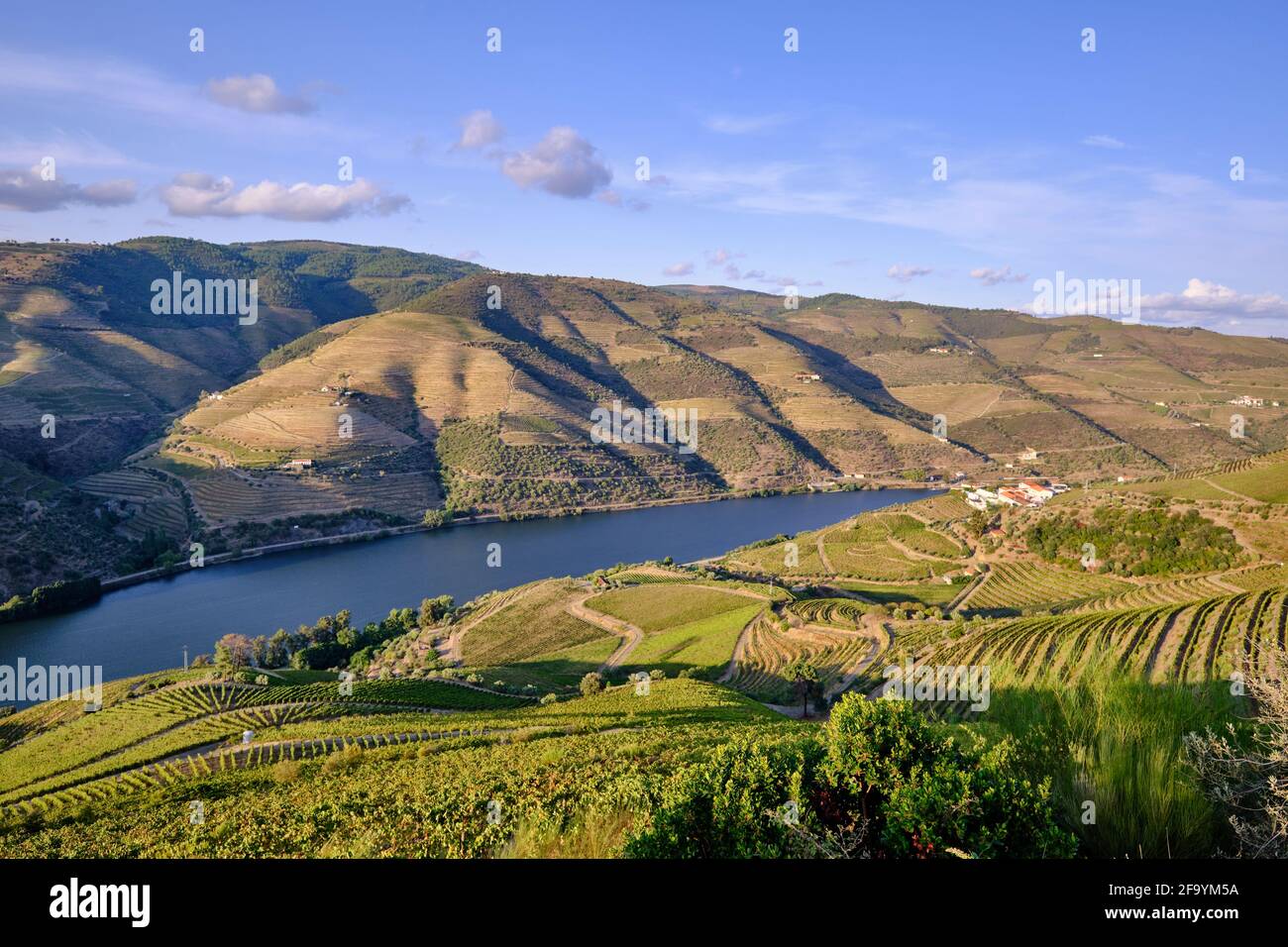 Il fiume Douro e i vigneti terrazzati nei pressi di Follosa do Douro, Alto Douro. Un sito patrimonio dell'umanità dell'UNESCO, il Portogallo Foto Stock