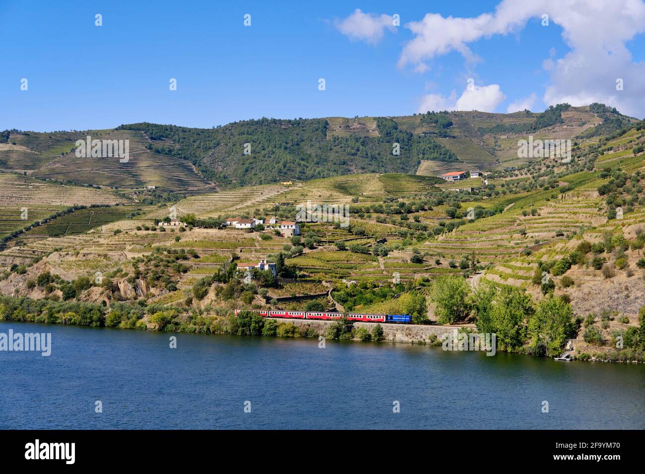 Il treno che passa lungo i vigneti terrazzati di Quinta da Boavista. Un sito patrimonio dell'umanità dell'UNESCO, il Portogallo Foto Stock