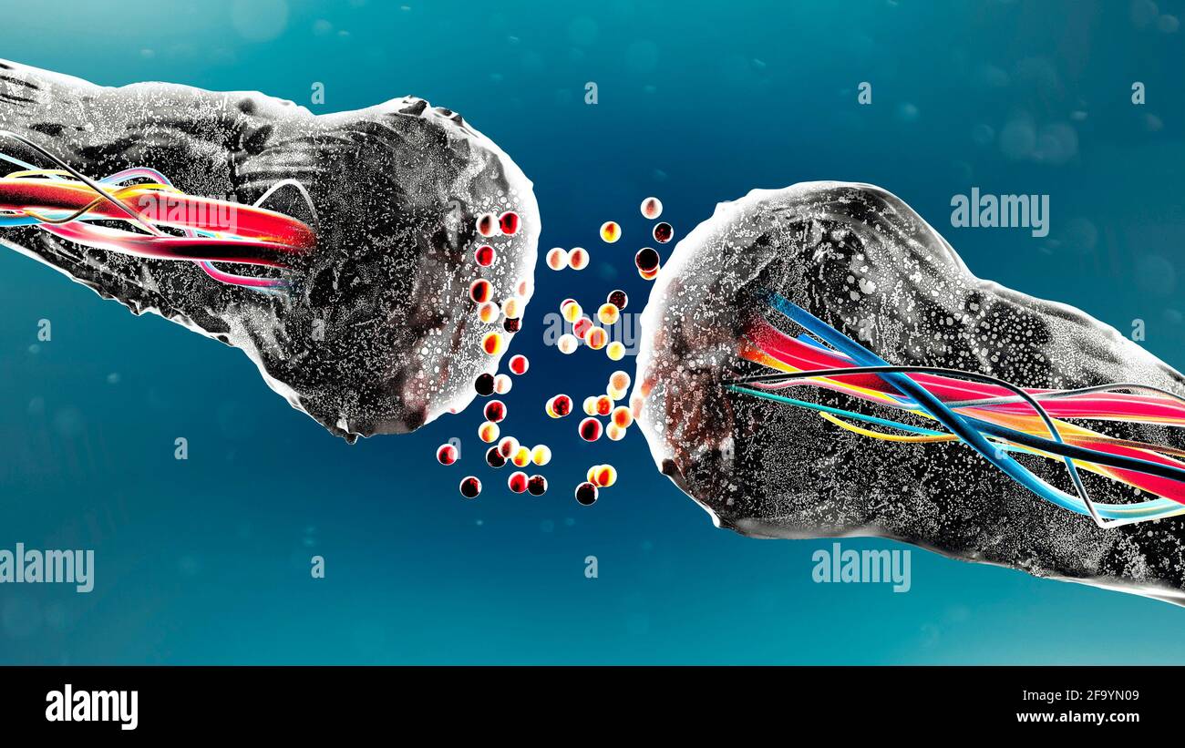 Connessioni Synapse. Struttura che permette ad un neurone (o cellula nervosa) di passare un segnale elettrico o chimico ad un altro neurone. Cervello Foto Stock