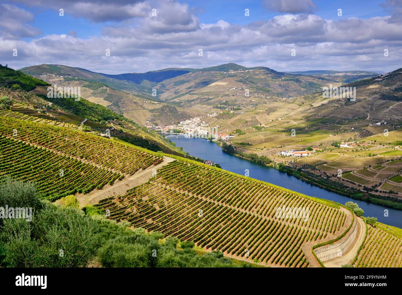 I vigneti terrazzati di Quinta de Ventozelo e il fiume Douro a Ervedosa do Douro, durante la stagione della vendemmia. Il villaggio di Pinhao sul Foto Stock