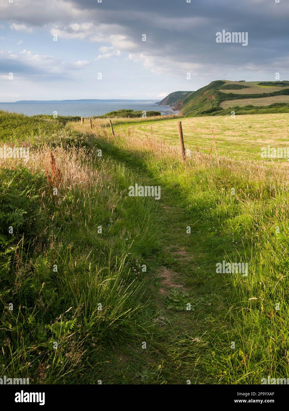 Il South West Coast Path nella zona nord del Devon di Outstanding Natural Beauty Coast a Peppercombe, Inghilterra. Foto Stock