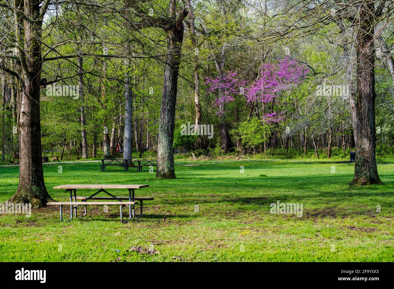 Foto di paesaggio con vista sui campi da picnic nel Great Falls National Park. Foto Stock