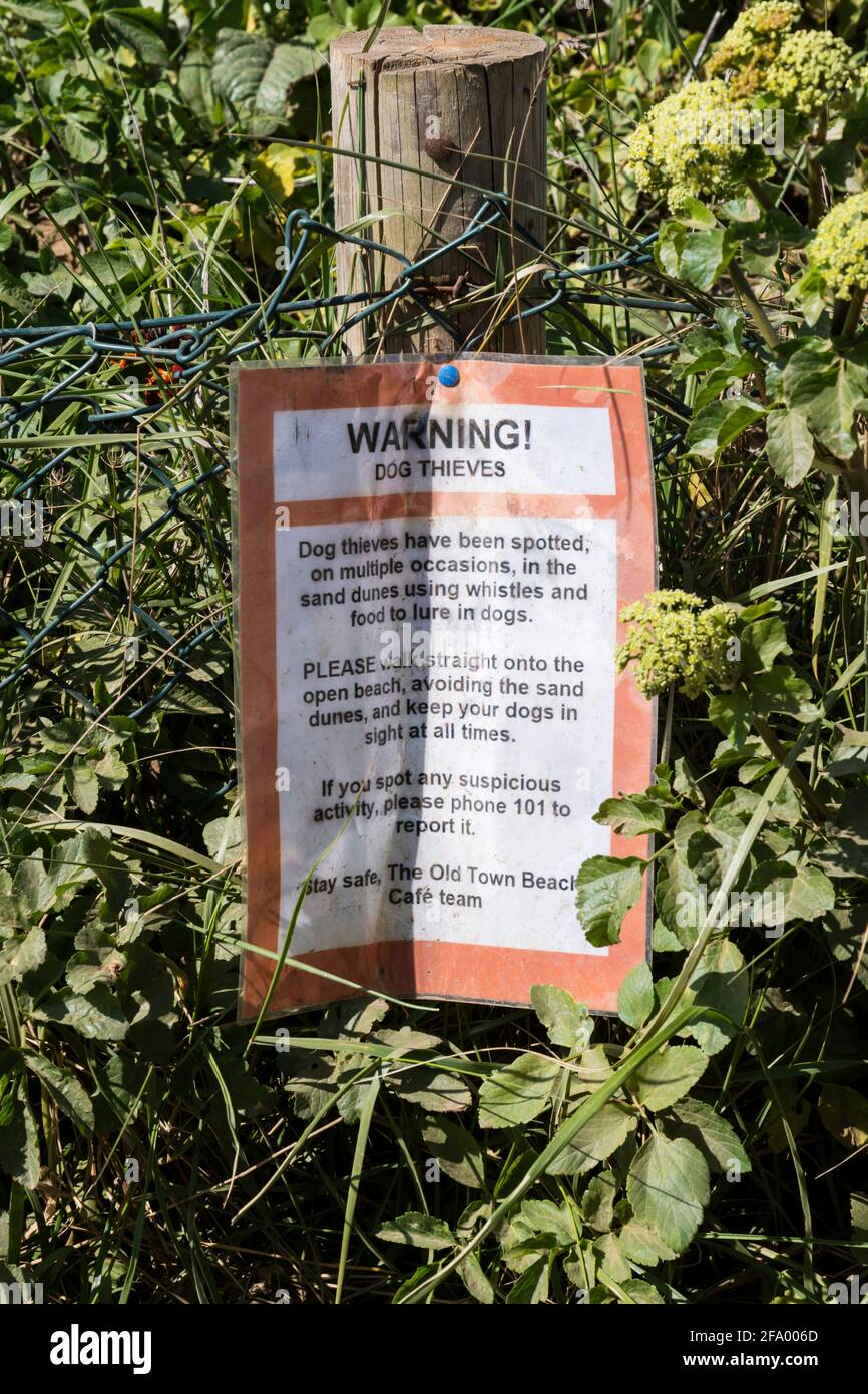 Un cartello sulla spiaggia di Old Hunstanton a Norfolk avverte dei ladri di cani. Foto Stock
