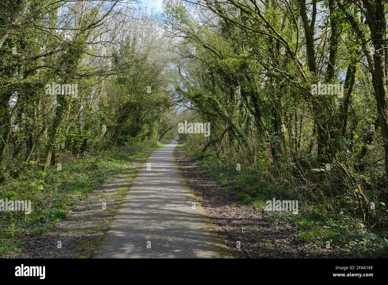 National Cycle Route 8 e la condivisione del Wales Coast Path Lo stesso percorso lungo la linea ferroviaria in disuso da Caernarfon A Bangor Foto Stock